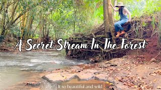 #10 | Found a Beautiful Stream, Harvest chili peppers and jackfruit, Planting and caring, Rural life