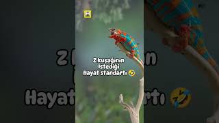 #zkuşağıgeliyor #z kuşağının isyediği hayat standartı 😱😂 #zkuşağı #istediğinizhayat