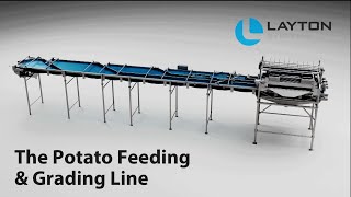 Layton Systems Automated Potato Feeding \u0026 Grading Line