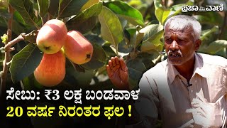 ಹೊಸಕೋಟೆಯಲ್ಲಿ ಸೇಬು: ₹3 ಲಕ್ಷ ‌ಬಂಡವಾಳದಲ್ಲಿ  20 ವರ್ಷ ನಿರಂತರ ಫಲ ! Hosakote Apple I Natural Farming I