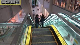 羽田空港第１旅客ターミナル エスカレーター 1F～B1F 日立製 Hitachi Escalator Haneda Airport Terminal 1