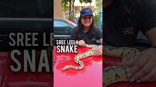 This Snake Name is Sree Leela