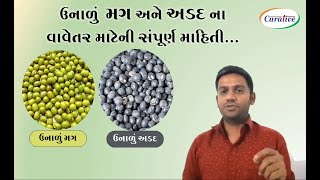 ઉનાળુ મગ અને અડદના વાવેતરની સંપૂર્ણ માહિતી - ભાગ ૧