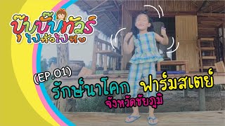 ปุ๊บปั๊บทัวร์ไปทั่วไปทีบ (EP.01) - รักษ์นาโคก ฟาร์มสเตย์ ชัยภูมิ