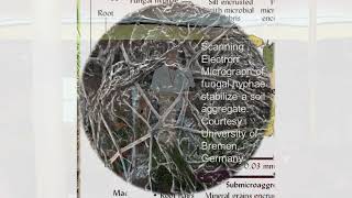 Understanding Ag - 6-3-4 Intro to Regenerative Principles