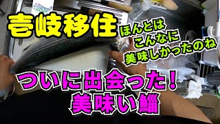 154【壱岐移住】まじか？ついに出会った 美味い鯔