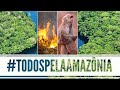 TODOS PELA AMAZÔNIA  #TODOSPELAAMAZÔNIA #AMAZÔNIA #FLORESTAAMAZONICA