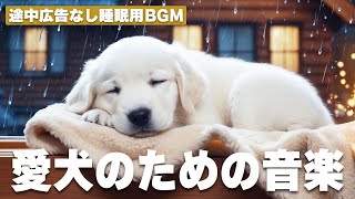 犬が落ち着くリラックス音楽（途中広告なし）🐾長時間のお留守番も安心🐾雷対策音楽🐾安眠サポートBGM💤