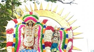 Suriyaprabhaiyil arulmigu chandhira sekarar utsavam thiruvotriyur masi festival 8.2.2022