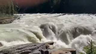 nkakarelax ang agos ng tubig sa Sunwapta falls dito sa 🇨🇦