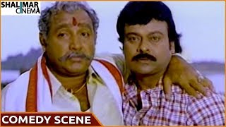 Comedy Scene Of The Day 467 || Telugu Movies Back To Back Comedy || Shalimarcinema