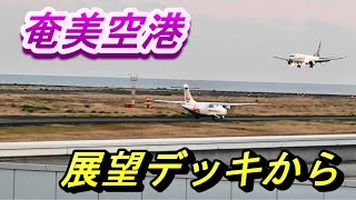 【奄美大島】奄美空港の展望台デッキから離着陸動画