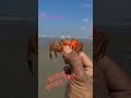 lal kakra beach red crab sea beach kakra viral লাল কাঁকরা বিচ shorts sm fantasy viral sm