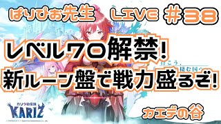 【#カリツの伝説】レベル７０解禁！新ルーン盤で戦力盛るぞ！！【#カエデの谷】