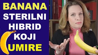 BANANA - STERILNI HIBRID koji UMIRE/ dr Bojana Mandić