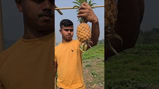 pineapple cutting skill 😱 #shorts #viralvideo #trending #food #satisfying #fyp