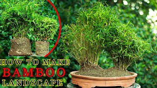 How to make Chaina bamboo landscape in Short Time | step by Step | Bonsai Artisan | KH AQIB JABED |