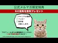 excelの一瞬で出来る便利技15選😊【パート1】あなたはいくつ知っていますか？