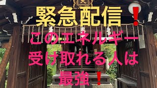 緊急配信❗️瀬織津姫命様お誕生の善き日に、この動画に辿り着いた人は最強❗️♯瀬織津姫命♯開運♯パワースポット♯神泉苑♯地球船龍神丸