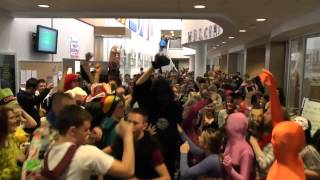 YCMHS Harlem Shake