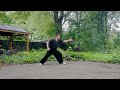 my casual practice 14 some ba gua movements