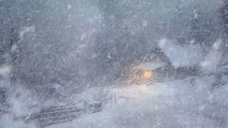 Ultimate Freezing Snowstorm Sounds for Sleeping in Windmill |Strong Blizzard to Sleep, Reduce Stress