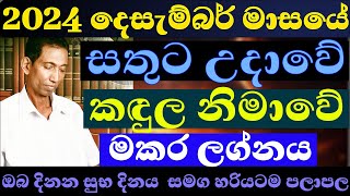 මකර ලග්නය 2024 දෙසැම්බර් | සුභ දිනයන් සහ අභියෝග #december #astrology #sinhalaastrology #horoscope #1