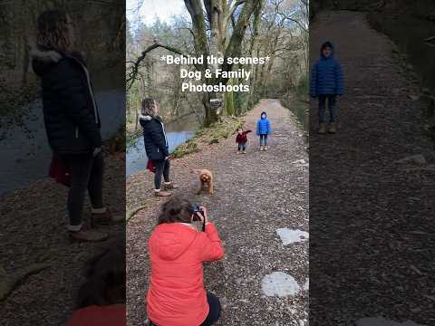 *Behind The Scenes* Dog & Family Photoshoots 📷 #dogphotography # ...