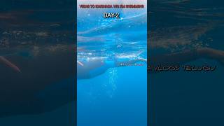 Vizag to Kakinada 150 km Sea Swimming Day-2 #golishyamala #seaswimming #trending #viral_video #sea