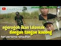 ngerogoh ikan lalawak dengan tangan kosong