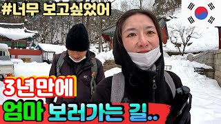 엄마 보고싶었어ㅠㅠ 눈물의 가족 상봉과 진수성찬 홈파티의 고향 방문기_삼척1/Korea Travel Food