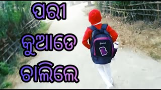 ପରୀ କୁଆଡେ଼ ଚାଲିଲେ#ମୋଗାଁvlog #odiavlog #viralvideo #dailyvlogs