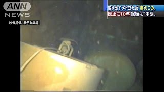 “核のごみ”ずさんな管理　茨城・東海再処理施設(17/03/06)