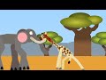 african Bush Elephant vs Reticulated Giraffe (battle arena ep2) for @househeadanimsyt6134