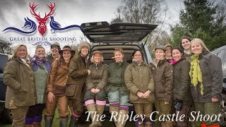 Driven Pheasant Shooting: The Ripley Castle Shoot