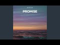 Promise