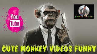 FUNNIEST MONKEYS | Cute And Funny Monkey Videos Compilation  || Chinmoy vlogs