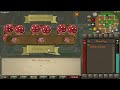 monkey backpacks ape atoll agility osrs guide