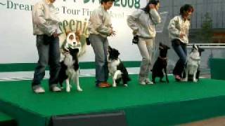 Ｇｒｅｅｎｉｅｓ　ｐｒｅｓｅｎｔｓ　Ｓｍｉｌｅ　Ｄｏｇキャラバン２００８　ＩＮ東京