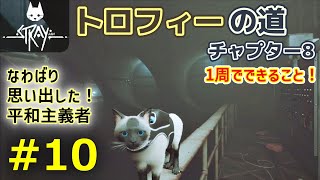 【Stray 実績・トロフィー#10】チャプター8／下水道【ストレイ／シャム猫MOD／字幕プレイ動画】