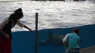 ☆京都水族館　ララフィンサーカス～第2章「たいせつ」～　4Ｋ動画