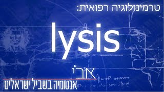 מה המשמעות של הסיומת lysis?