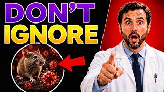 HANTAVIRUS Is Spreading Quietly 7 Warning Signs You Should Never Ignore