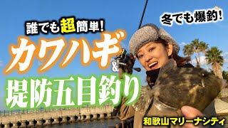 【冬でも爆釣】誰でも超簡単！堤防で狙うカワハギ\u0026五目釣り！