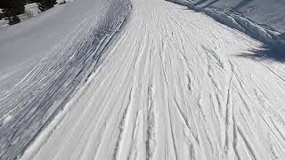 Skiing on piste 25b Folgaria Italy, 2024 March