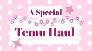 Temu Haul - Some Special Finds