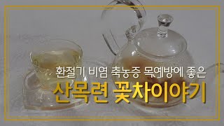 스트레스가 많은 현대인들이 마시면 좋은 차  환절기 비염 축농증 목예방 기관지에 좋습니다.