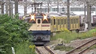 2024年10月19日EF65 2070号機牽引　西武鉄道2000系　2451・2453F甲種輸送　新秋津　新鶴見にて撮影してみました