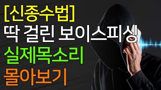 [신종수법] 딱 걸린 보이스피싱 실제 목소리 몰아보기 이 목소리를 조심하세요!!