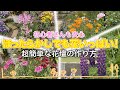 1番簡単な花壇の作り方！ミックスフラワーガーデンの種を蒔こう‼︎